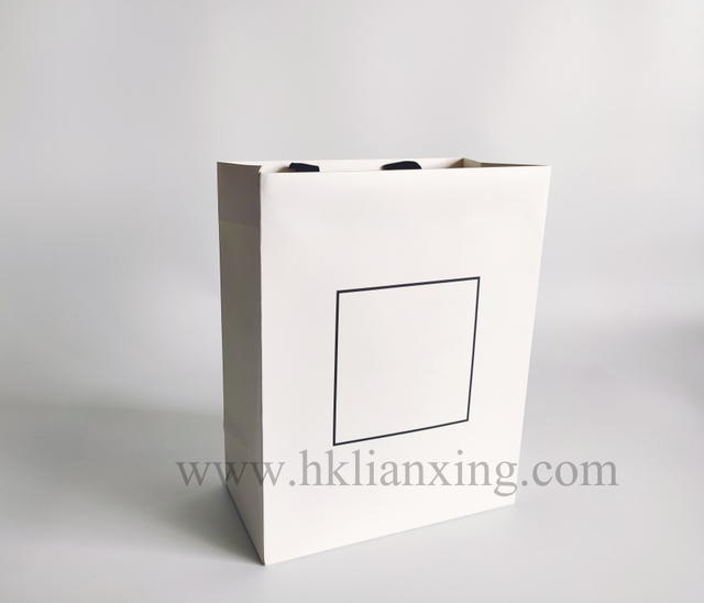 Coated Paper White Gift Paper Bag