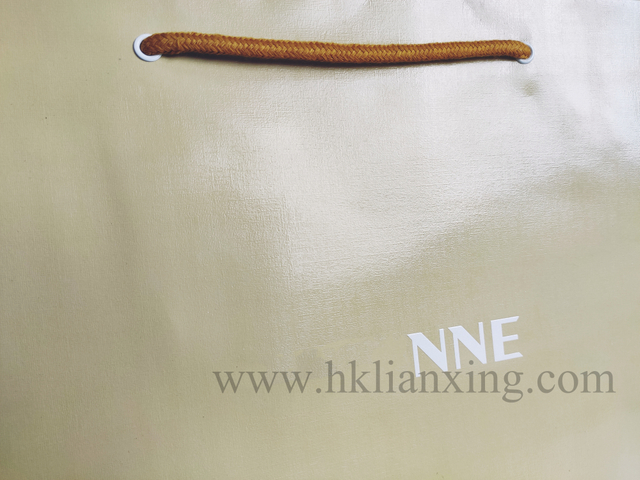 Wholesale Custom Cardboard Shopping Gift Packaging Paper Bags For Clothes With Your Own Logo