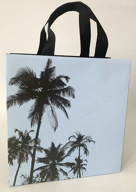 Apparel Paper Bag with Special Handle