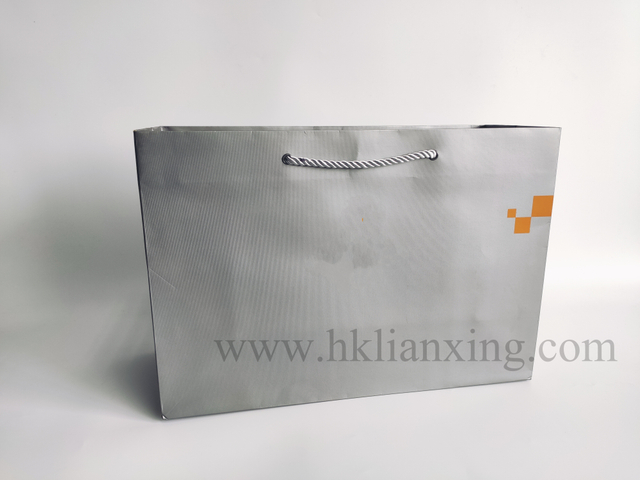 Custom Logo Special Paper Bags Shopping Bag